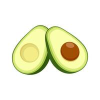 avocado reeks met gehalveerd groen tropisch fruit met zaad. veganistisch gezond voedzaam voedsel in vlak gedetailleerd vector stijl voor verpakking, ontwerpen, decoratief elementen