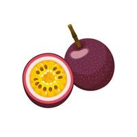 passie fruit reeks ontwerp met geïsoleerd geheel en gehalveerd zoet tropisch fruit. exotisch veganistisch voedsel in vlak gedetailleerd vector stijl voor verpakking, ontwerpen, decoratief elementen