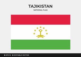 illustratie van de nationale vlag van Tadzjikistan vector