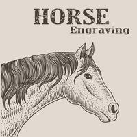 illustratie paardenhoofd met gravure stijl vector