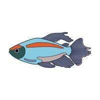 tekenfilm vector illustratie Congo tetra vis icoon geïsoleerd Aan wit achtergrond