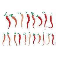 rode hete natuurlijke chili pictogram vectorillustratie vector