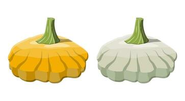 oranje en groen struik pompoen groente. patisson pompoen geïsoleerd Aan wit achtergrond. herfst oogst. vector illustratie in vlak stijl