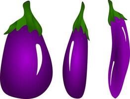 de illustraties en clip art. 3 aubergine Aan wit achtergrond vector