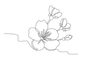 detailopname van kers bloesem bloemblaadjes vector