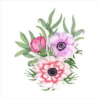 anemonen met eucalyptus. boeket van voorjaar bloemen. waterverf illustratie vector