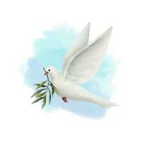 wit duif van vrede met olijf- boom takje Aan pastel blauw lucht achtergrond waterverf vector illustratie. vliegend duif vogel