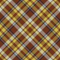 plaid patroon vector. controleren kleding stof textuur. naadloos textiel ontwerp voor kleren, papier afdrukken. vector