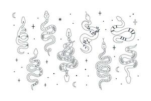 lineair mysticus slangen. abstract schets reptielen. Boheems fauna. hemel- etnisch symbolen. lijn kunst pictogrammen, krabbels. kleur bladzijde. vector
