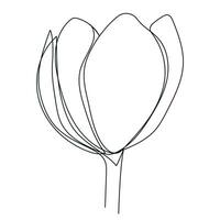 tulp bloem doorlopend een lijn tekening. lineair vector illustratie