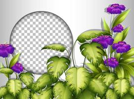 rond frame met paarse bloem en bladerensjabloon vector