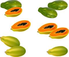 illustratie van papaja vector ontwerp Aan wit achtergrond