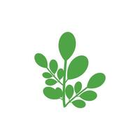 moringa logo vector sjabloon symbool natuur