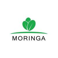 moringa logo vector sjabloon symbool natuur