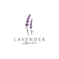 bloeiend lavendel biologisch bloem logo sjabloon ontwerp. logo voor cosmetica, schoonheid, plantkunde, parfum en decoratie. vector