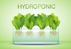 portable hydrocultuur aeroponic systeem voor milieuvriendelijk groeit van groen sla, groenten en kruiden vector