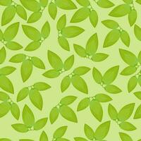 naadloos patroon van groen bladeren van clematis bloemen Aan een licht groen achtergrond vector