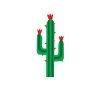 vector ilustration grafisch fabriek cactus