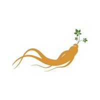 ginseng vector icoon illustratie