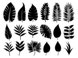 reeks van zwart silhouetten van bladeren en bloemen. vector illustratie.