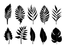 reeks van zwart silhouetten van bladeren en bloemen. vector illustratie.