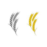 landbouw rijst- vector icoon illustratie