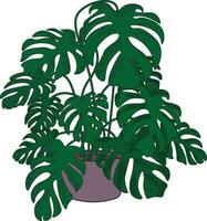 kamerplant clip art. fabriek in de pot vector