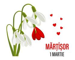 martelaar, Moldavisch en Roemeense traditioneel voorjaar festival. boeket van wit en rood sneeuwklokjes. bloemen voorjaar achtergrond, ansichtkaart, vector