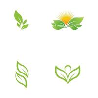 groene boom blad ecologie natuur element vector