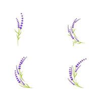 lavendel bloem vector icoon illustratie