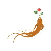 ginseng vector icoon illustratie