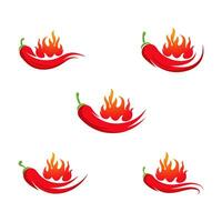 rode hete natuurlijke chili pictogram vectorillustratie vector