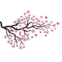 sakura schoonheid bloem vector icoon