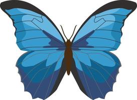 blauwe vlinder insect dier vector