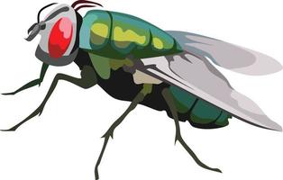 groene vlieg insect dierlijke vector