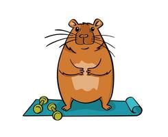 een schattig capibara doet yoga Aan een mat. vector illustratie vlak stijl