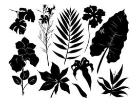 reeks van zwart silhouetten van bladeren en bloemen. vector illustratie.