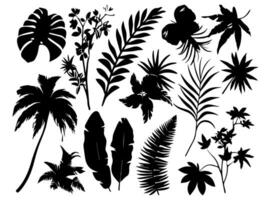 reeks van zwart silhouetten van bladeren en bloemen. vector illustratie.