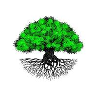 eik logo met wortels. concept van groot boom in een cirkel echt landgoed ontwerp, bouw, huisvesting, meubilair en meer vector