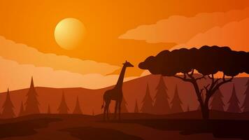 savanne landschap vector illustratie. landschap van giraffe silhouet en Afrikaanse boom met zonsondergang lucht. giraffe dieren in het wild landschap voor illustratie, achtergrond of behang