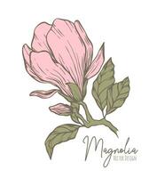 magnolia bloem lijn illustratie. hand getekend contour schets van bruiloft kruid, elegant bladeren voor uitnodiging opslaan de datum kaart. botanisch modieus groen vector verzameling voor web, afdrukken, affiches.