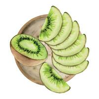 hand- getrokken waterverf groen kiwi fruit voor eetpatroon en gezond levensstijl, salade veganistisch rauw Koken. illustratie samenstelling geïsoleerd Aan wit achtergrond. ontwerp voor poster, afdrukken, website, kaart, menu vector