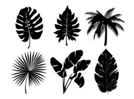 reeks van zwart silhouetten van bladeren en bloemen. vector illustratie.