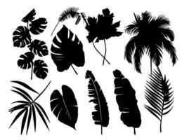 reeks van zwart silhouetten van bladeren en bloemen. vector illustratie.