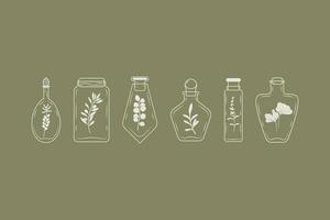 een reeks van flessen met rozemarijn, eucalyptus, olijf, lavendel, zee duindoorn. vector