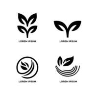 bladeren logo vector reeks geïsoleerd Aan wit achtergrond. divers vormen van bladeren van bomen en planten. elementen voor eco en bio logo's.