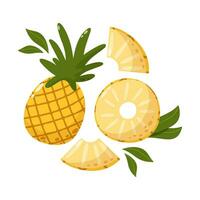 ananas samenstelling met bladeren. reeks van zoet geheel en plakjes tropisch fruit. zomer vitamine vector abstract illustratie voor banier, poster, folder, groet kaart. tekenfilm vlak stijl.