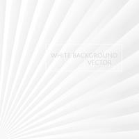 Witte achtergrond Vector