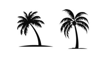 kust- palm boom schaduwen vector