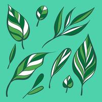 Hand Tekening Handleiding Groene Bladeren Clipart Set Vector